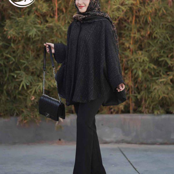 پالتوشنلی-نمای-دور